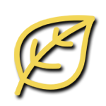 icn mindfuly mindful