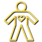 shadoe body physical health