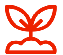 sprout 2